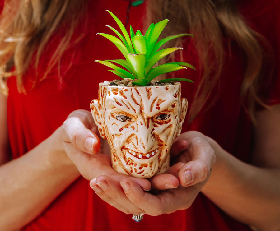 A Nightmare On Elm Street Freddy Krueger Ceramic Planter w/ Artificial Succulent