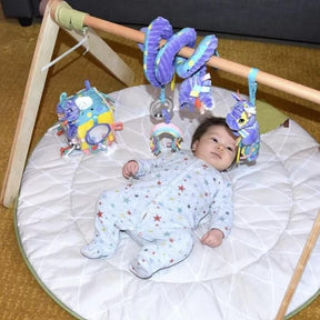 Les Delingos Baby Activity Cube | Kiprokos the Zebra