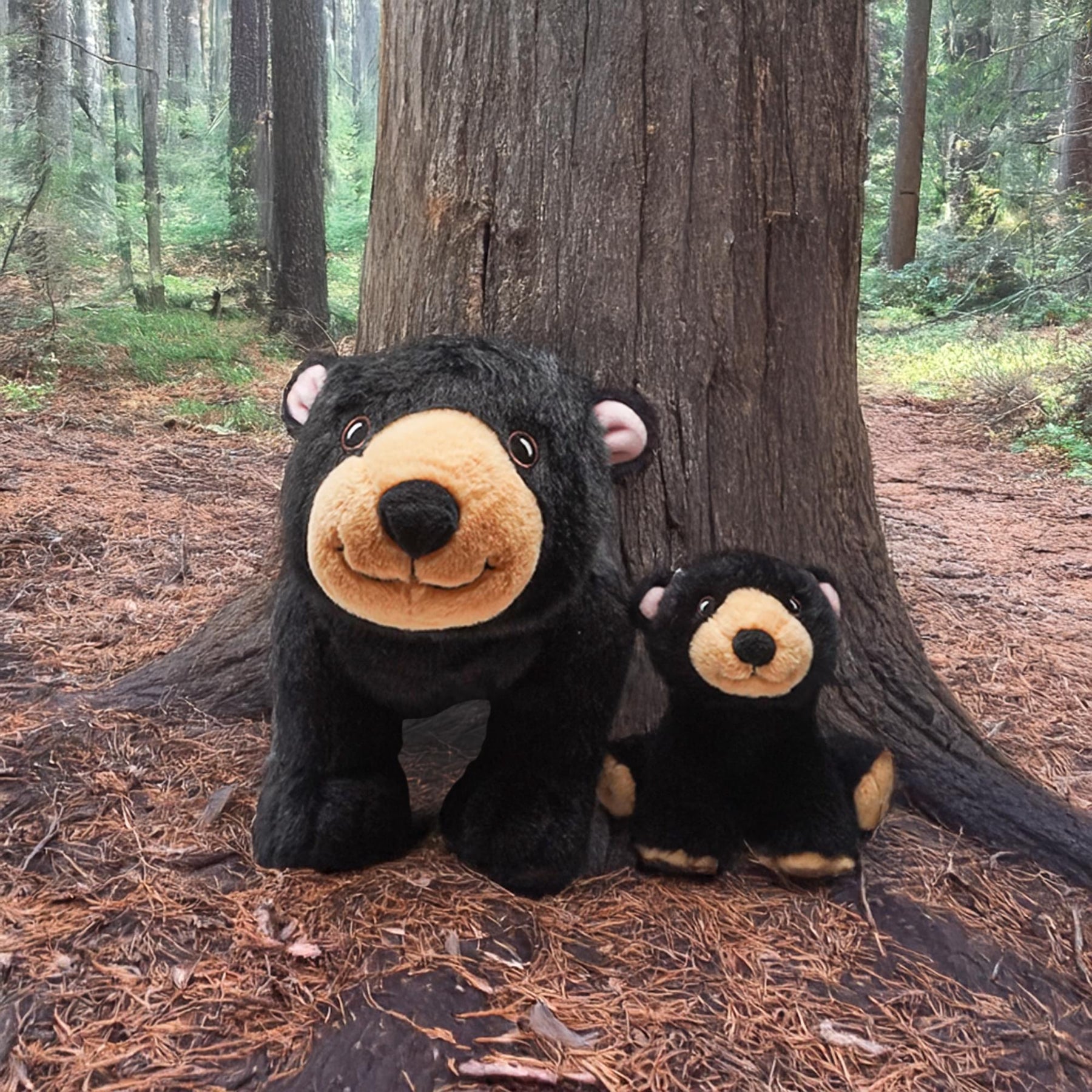 Snooze Monsters Interactive Bedtime Plush Set | Black Bear With Baby