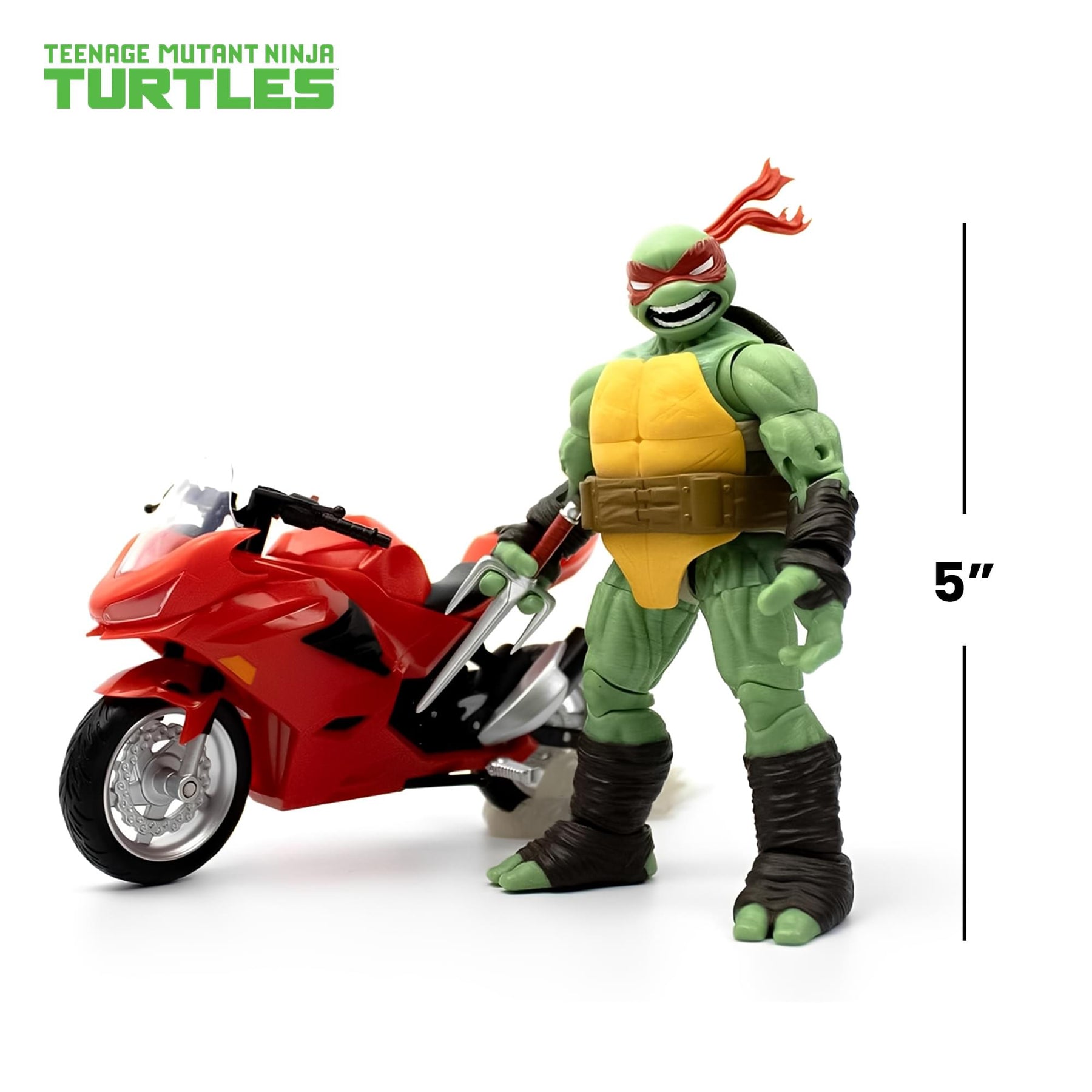 Teengae Mutant Ninja Turtles BST AXN Raphael with Motorcycle (IDW Comics)