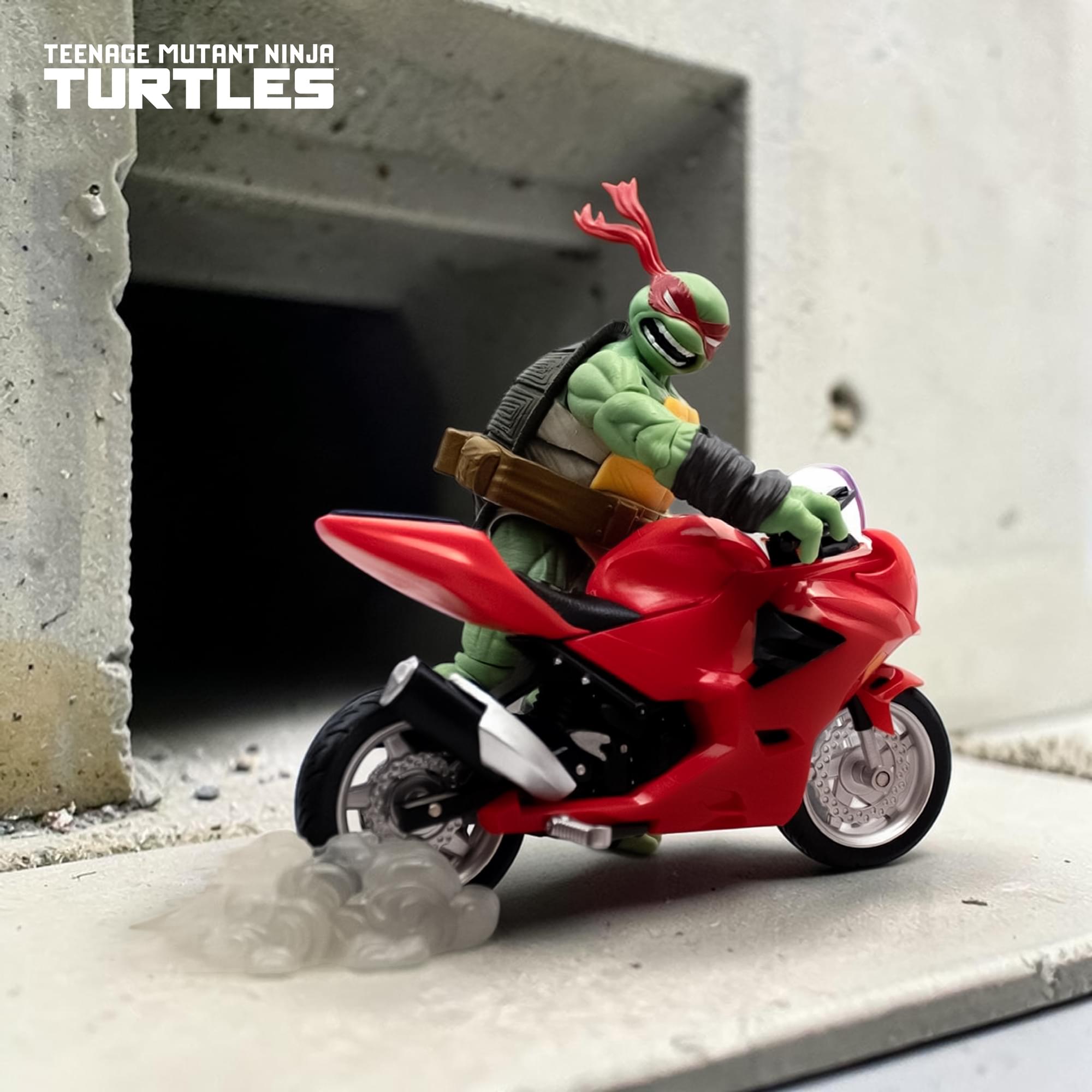 Teengae Mutant Ninja Turtles BST AXN Raphael with Motorcycle (IDW Comics)