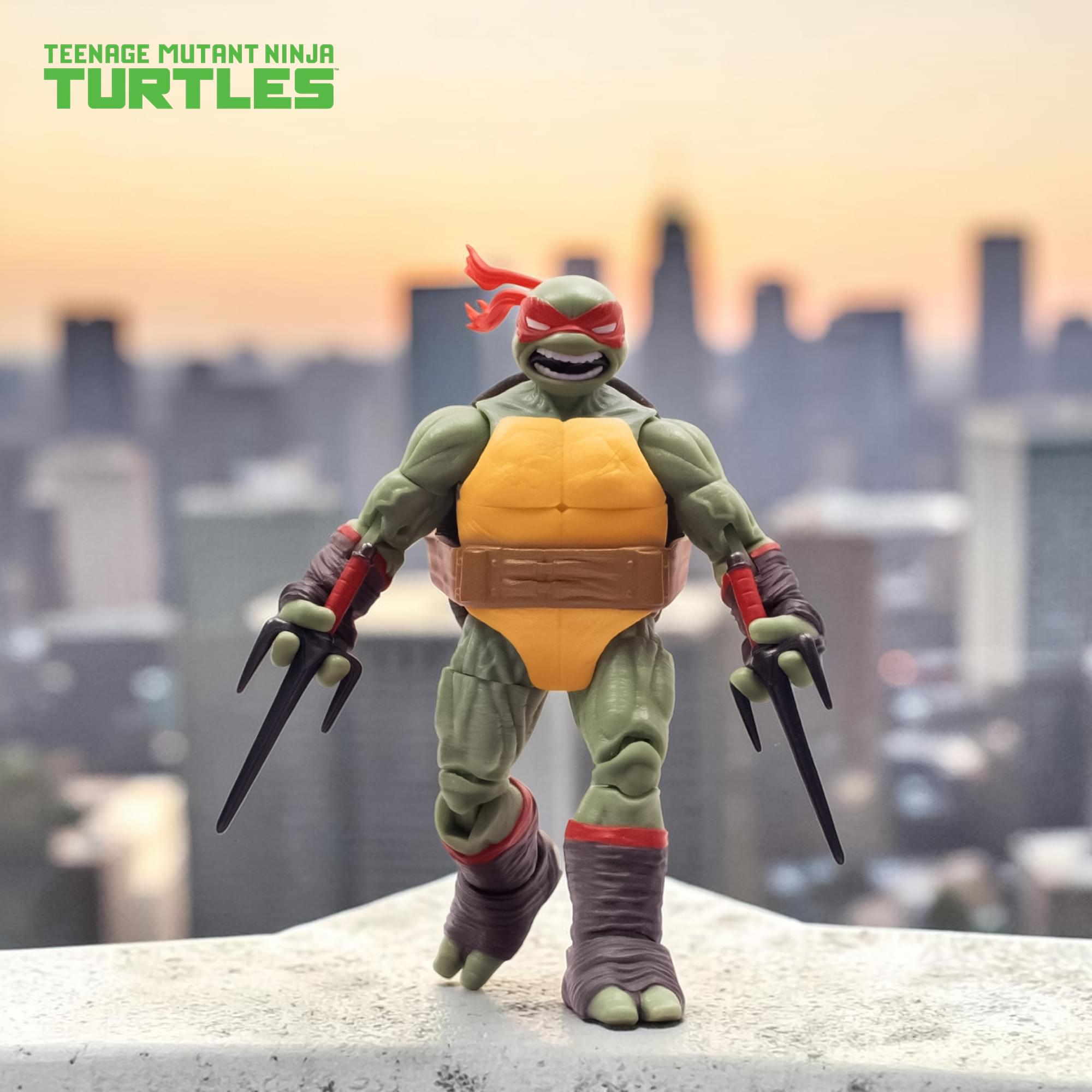 Teengae Mutant Ninja Turtles BST AXN Raphael with Motorcycle (IDW Comics)