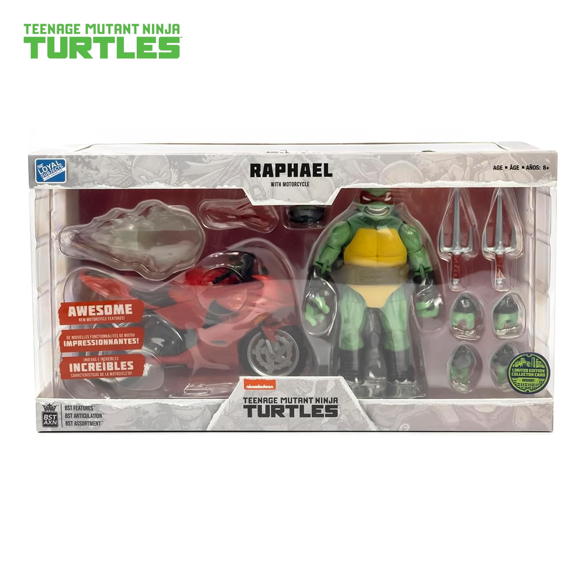 Teengae Mutant Ninja Turtles BST AXN Raphael with Motorcycle (IDW Comics)
