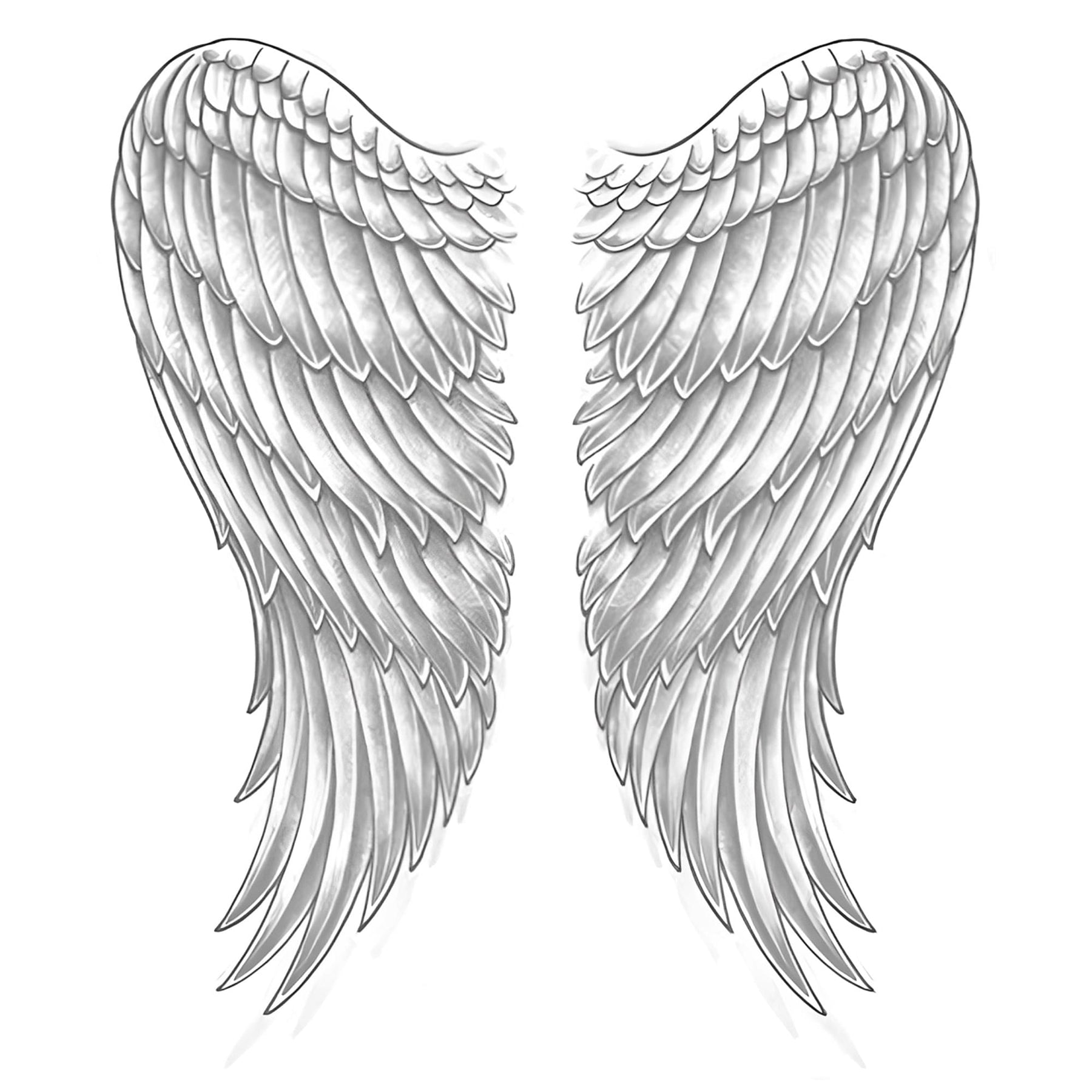 Wings Adult Costume