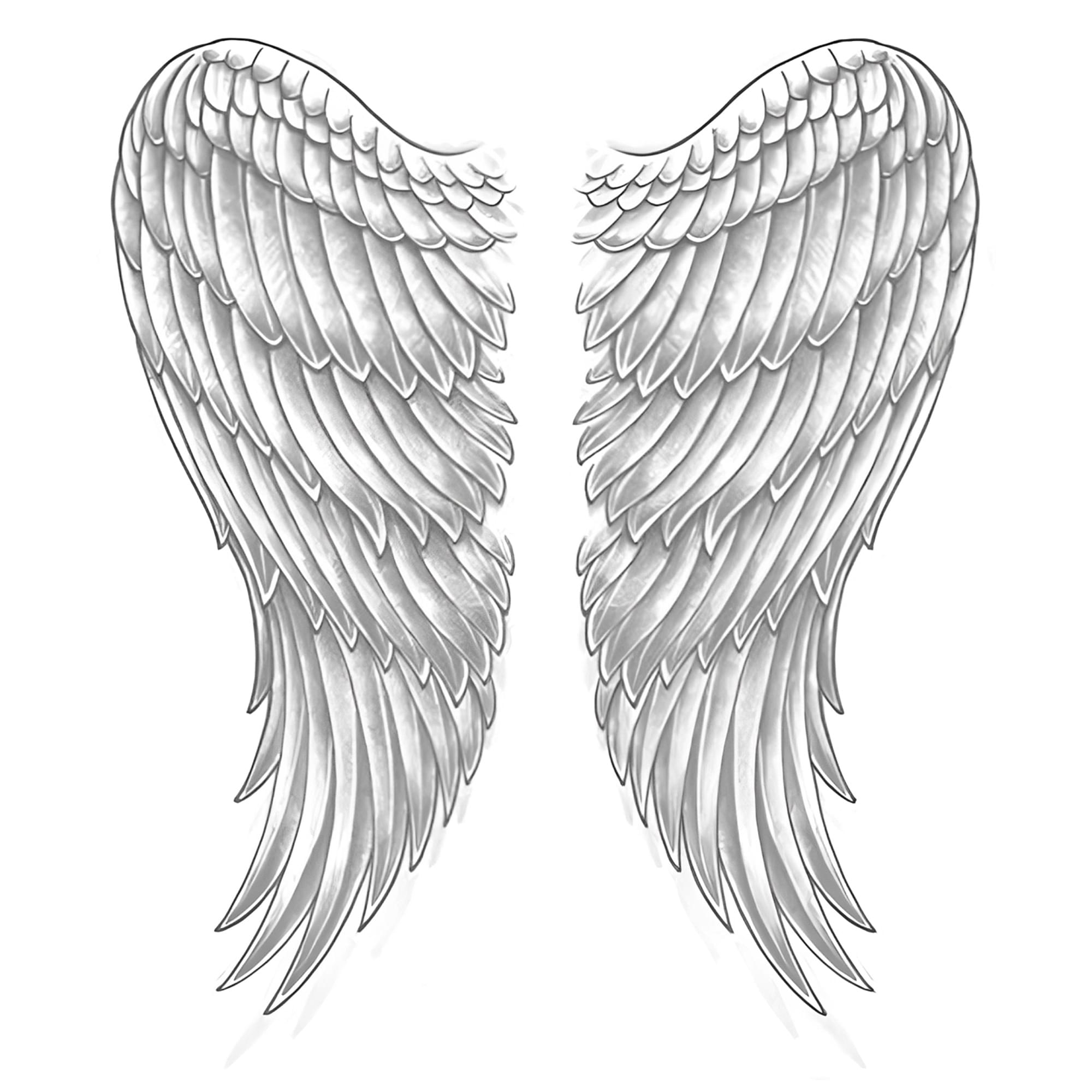 Wings Adult Costume