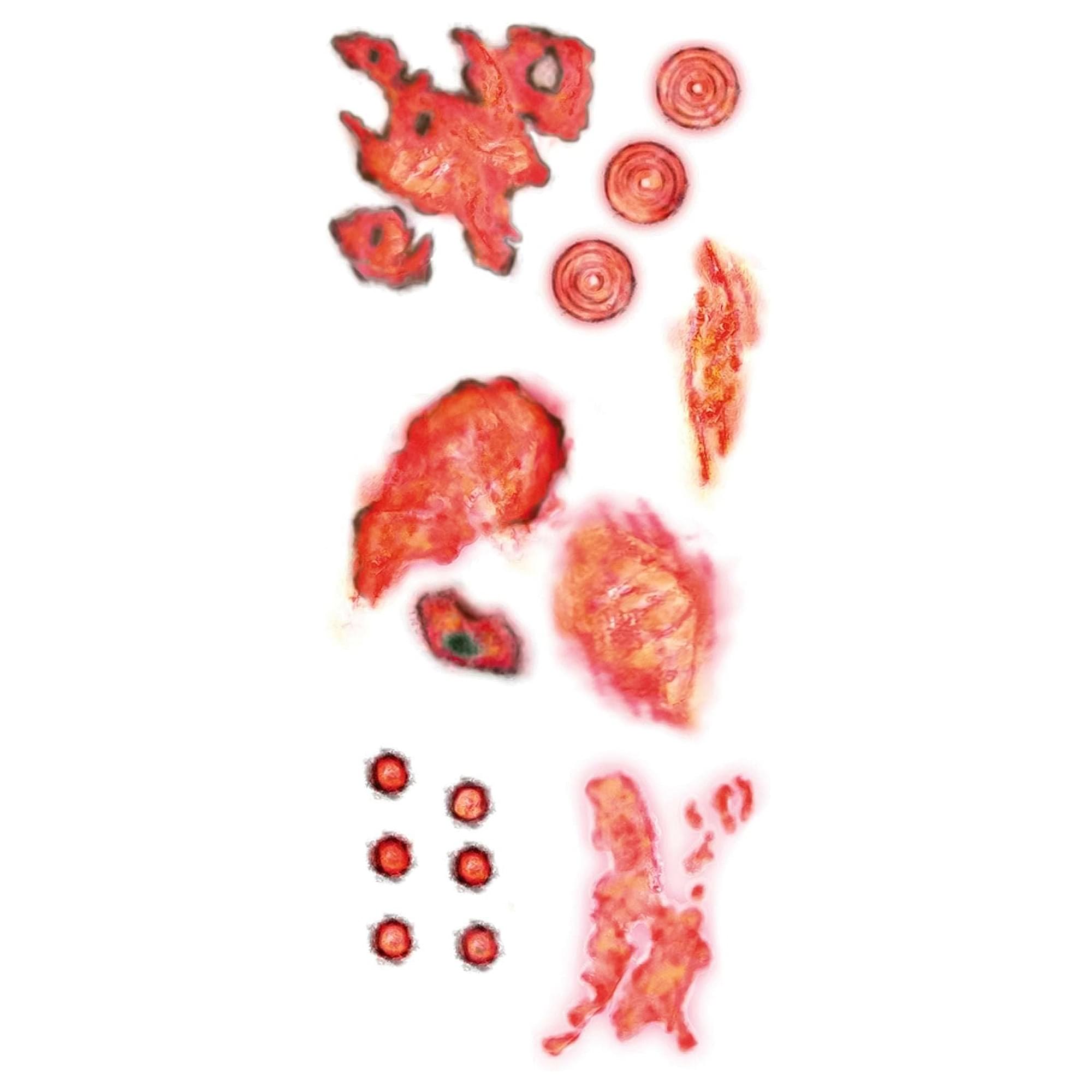 Burned Alive Temporary Tattoos Costume Accessory
