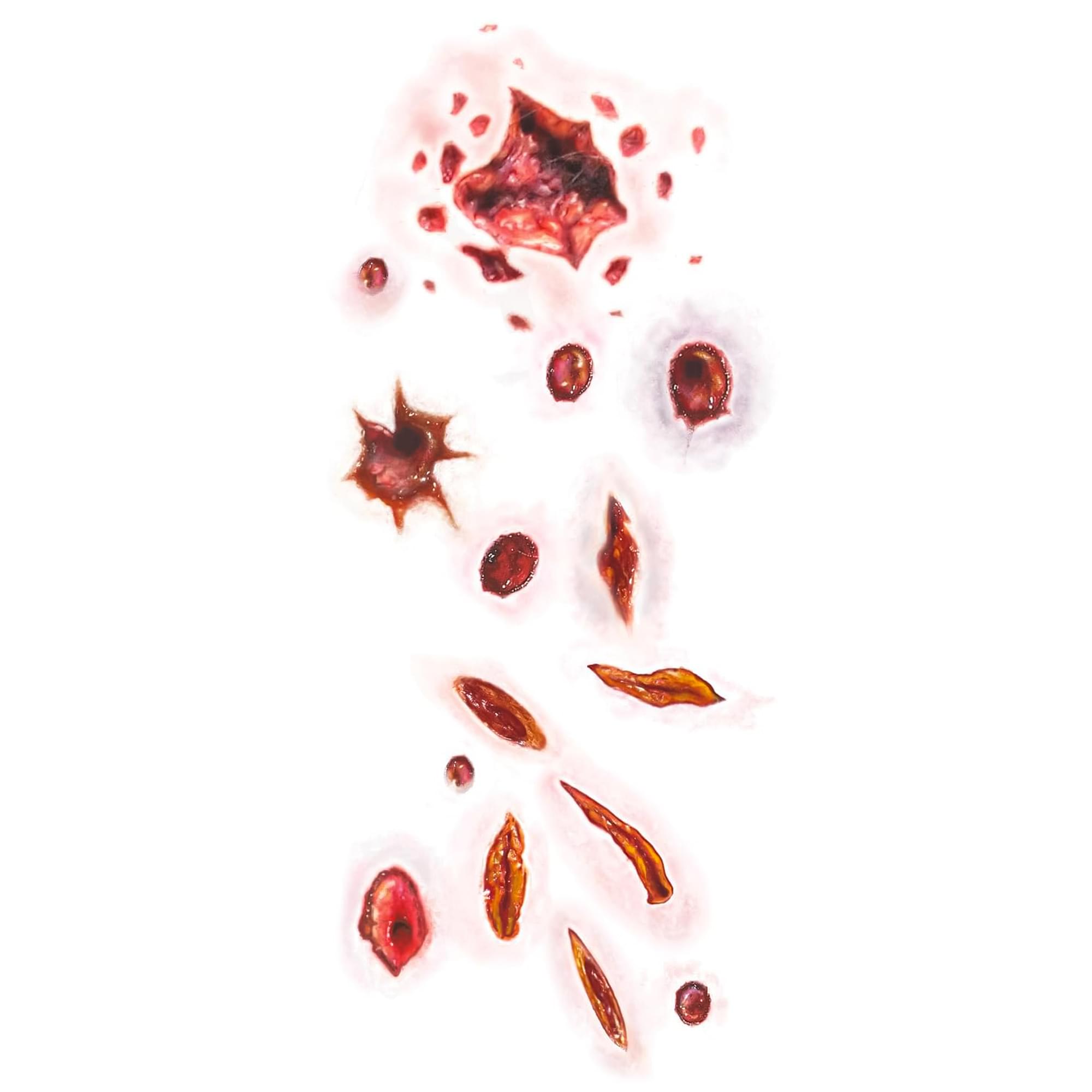 Shot and Stabbed Gorywood Temporary Tattoos Costume Accessory