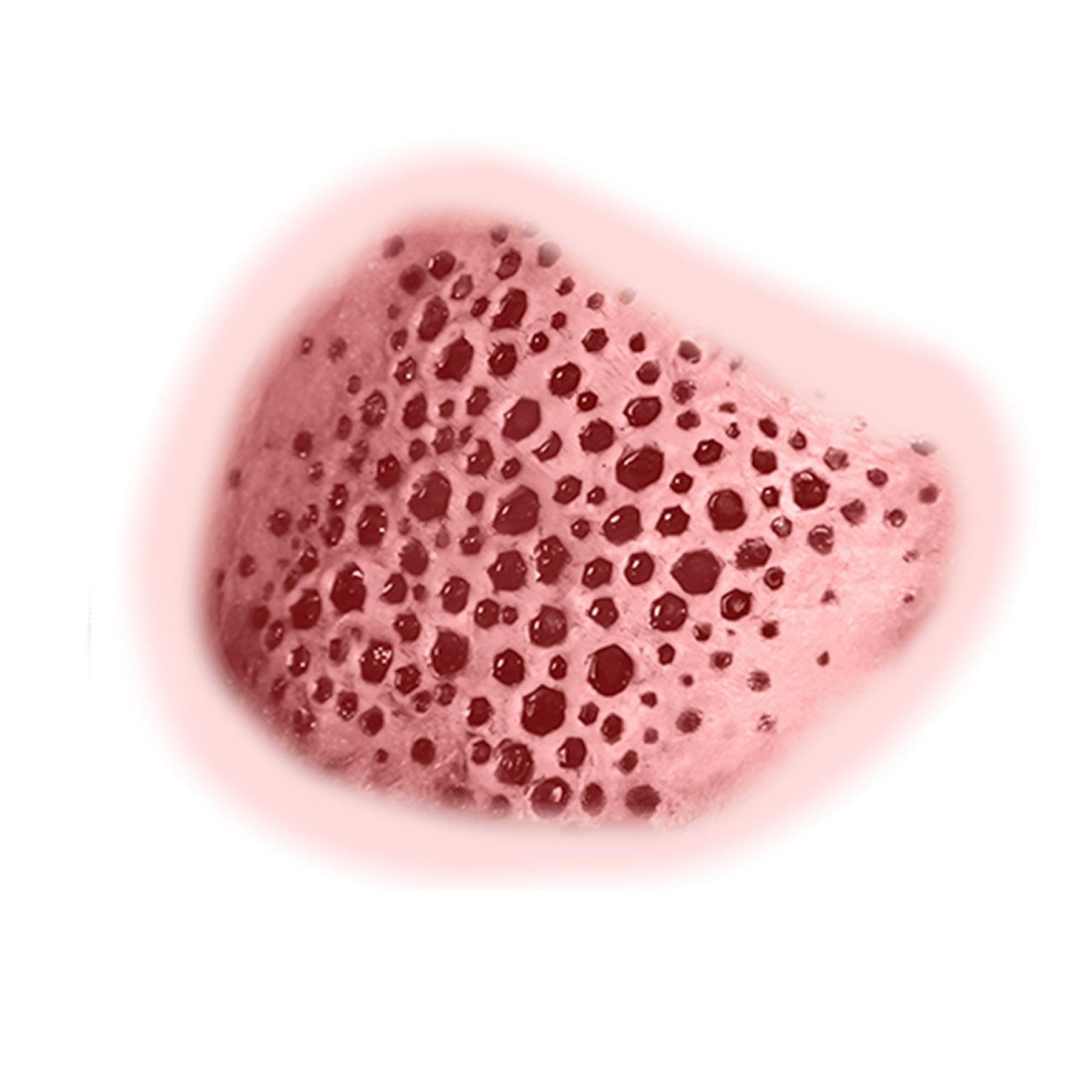 Trypophobia 3d Fx Transfers Costume Accessory