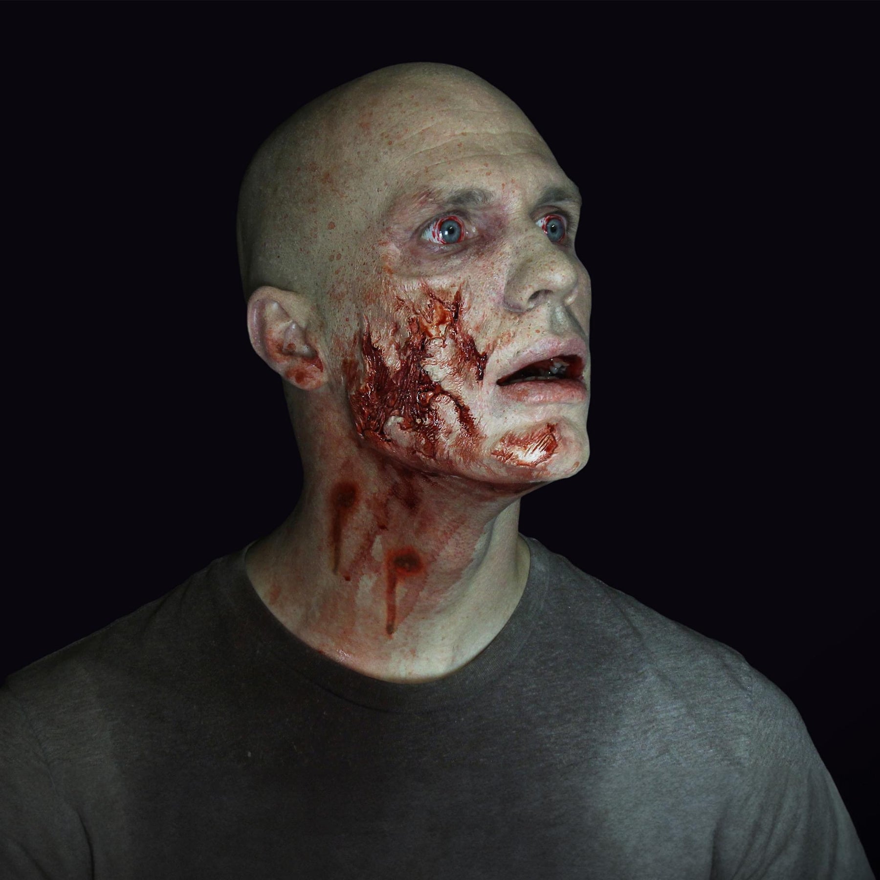 Vamp Bite Glam Gore Adult Costume