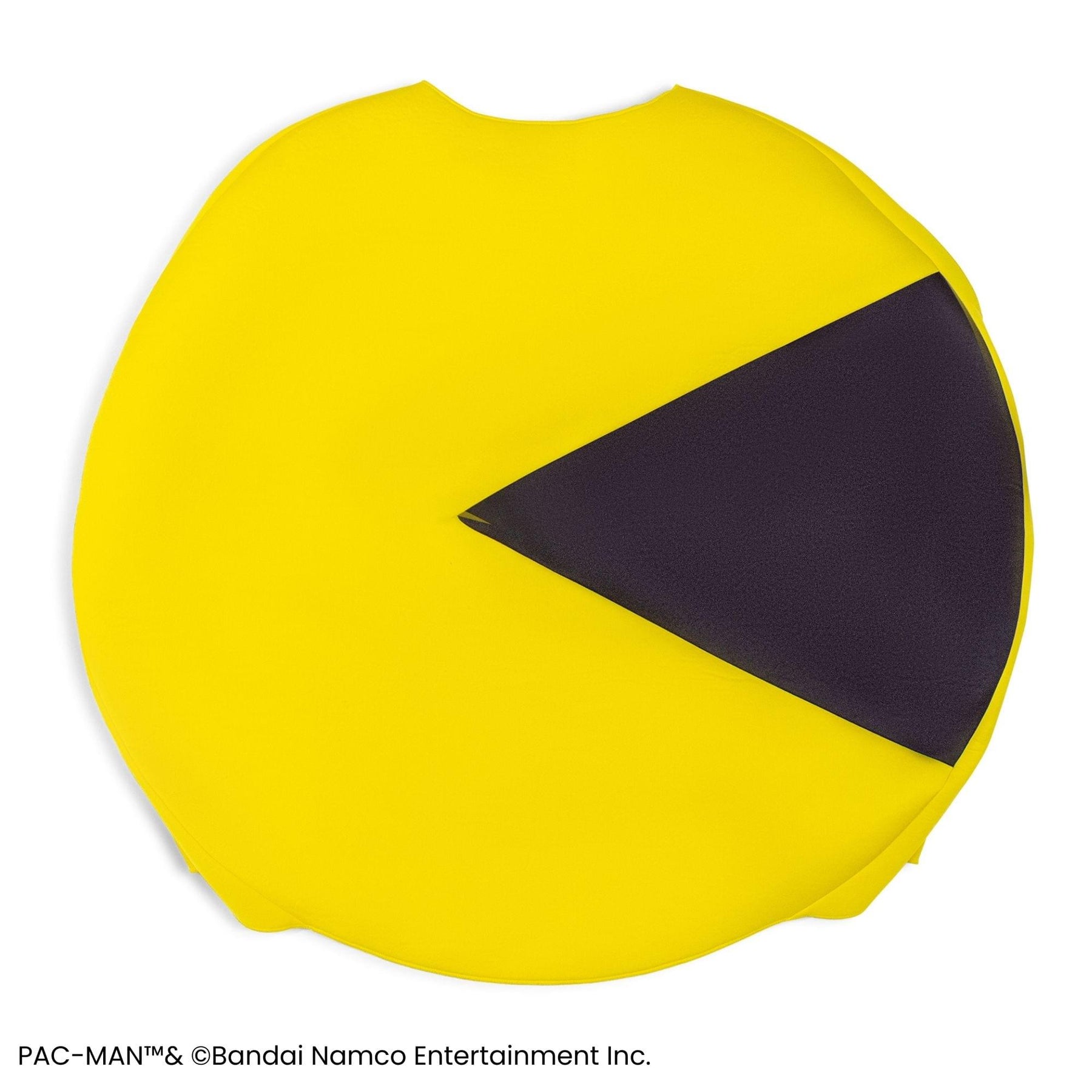 PAC-MAN 2D Adult Costume | One Size Fits Most