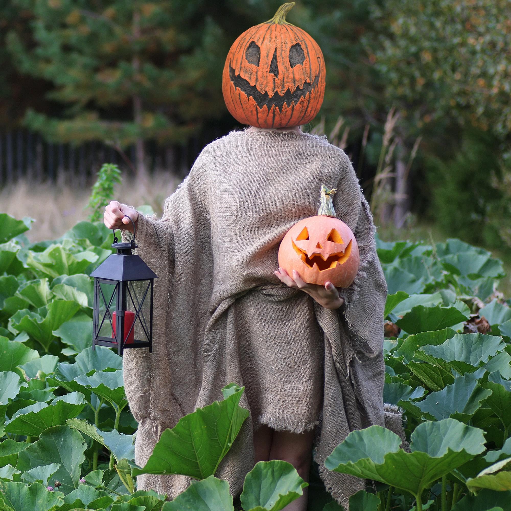 King Pumpkin Full Overhead Costume Mask Adult