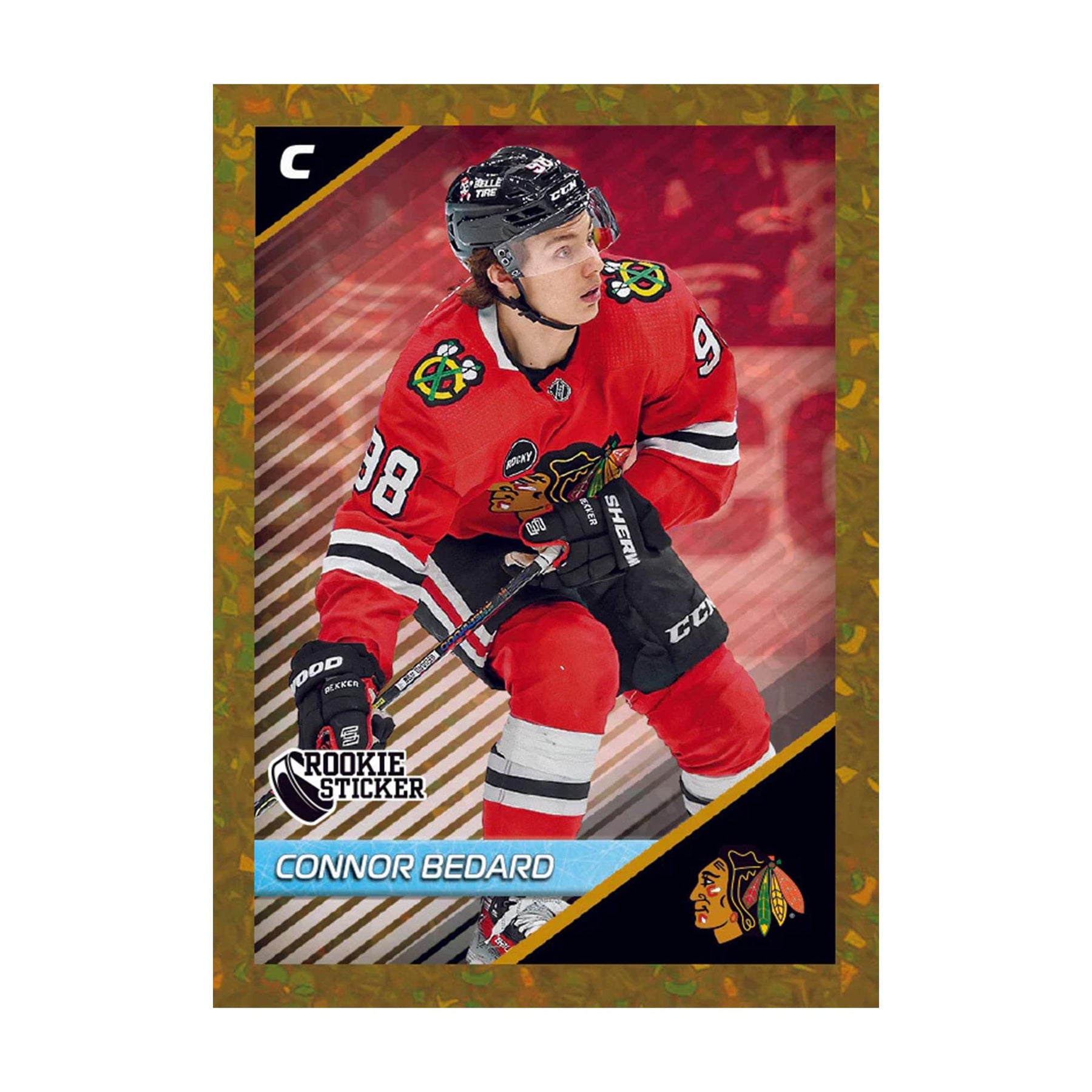 NHL Topps 2024/2025 Sticker Collection Album