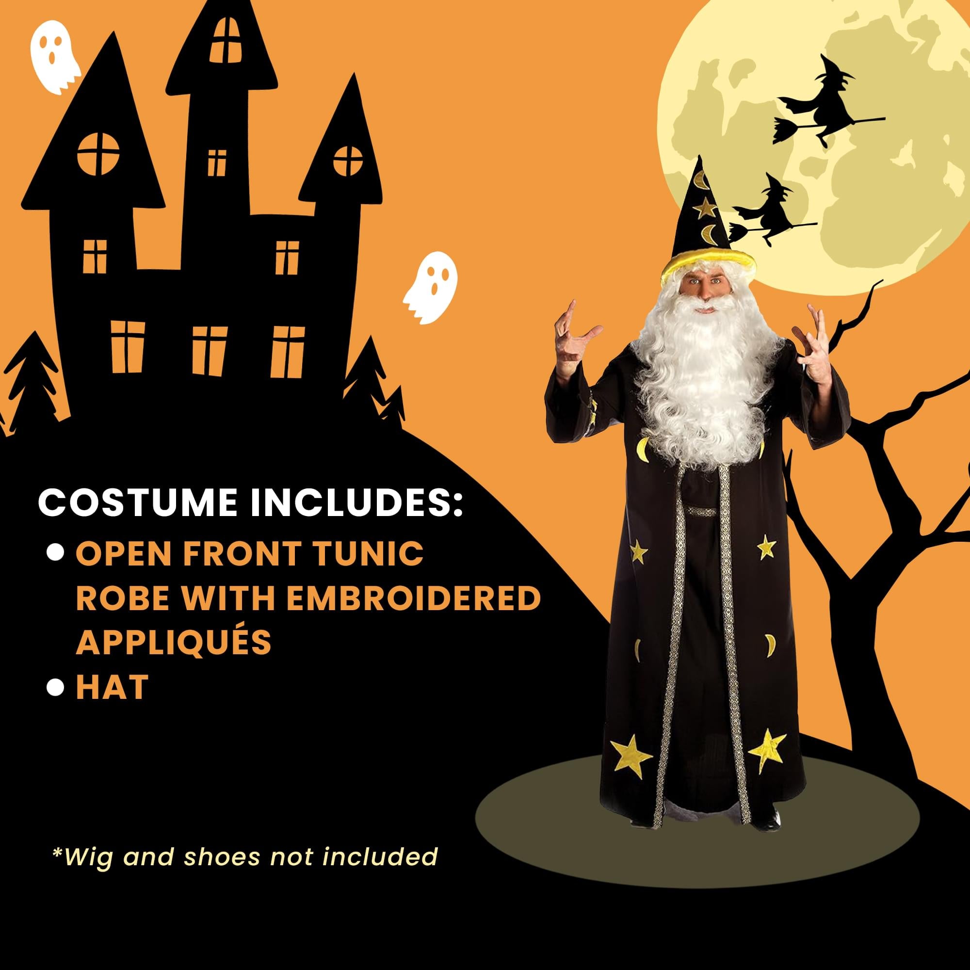 Dark Potion Wizard Adult Costume
