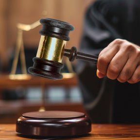 Judges Gavel Plastic Costume Accessory