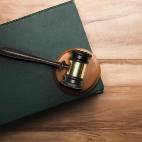 Judges Gavel Plastic Costume Accessory