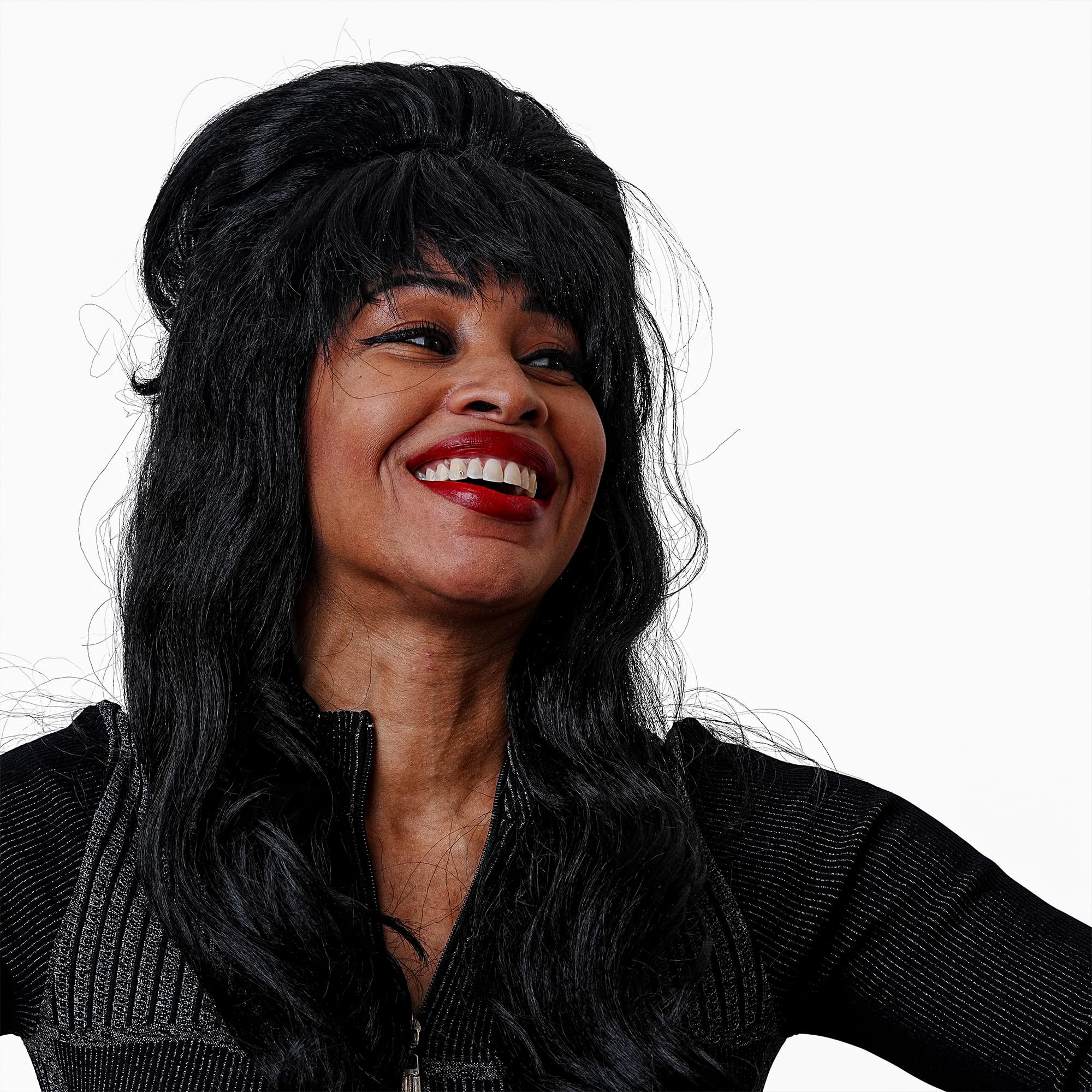 Mistress Wig Adult Costume Accessory