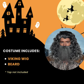 Viking Wig & Beard Adult Costume Set | Grey