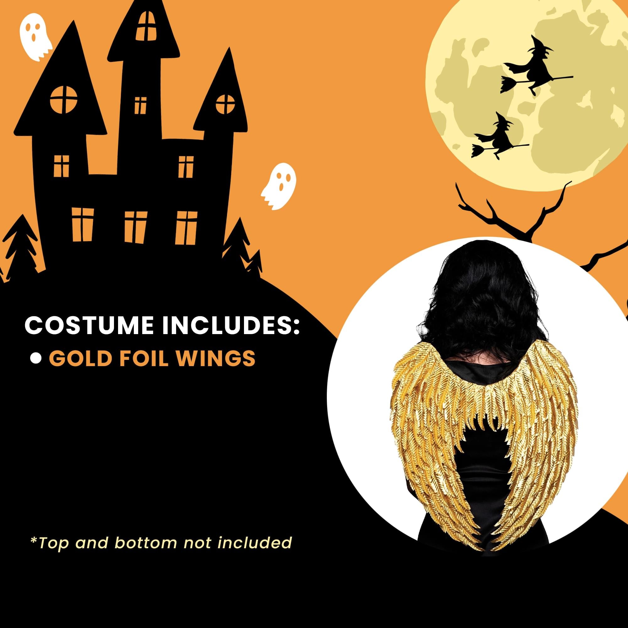 Gold Foil Wings Adult Costume Accessory | One Size