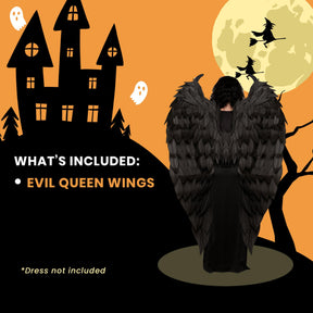 Evil Queen Black Feather Wings Adult Costume Accessory