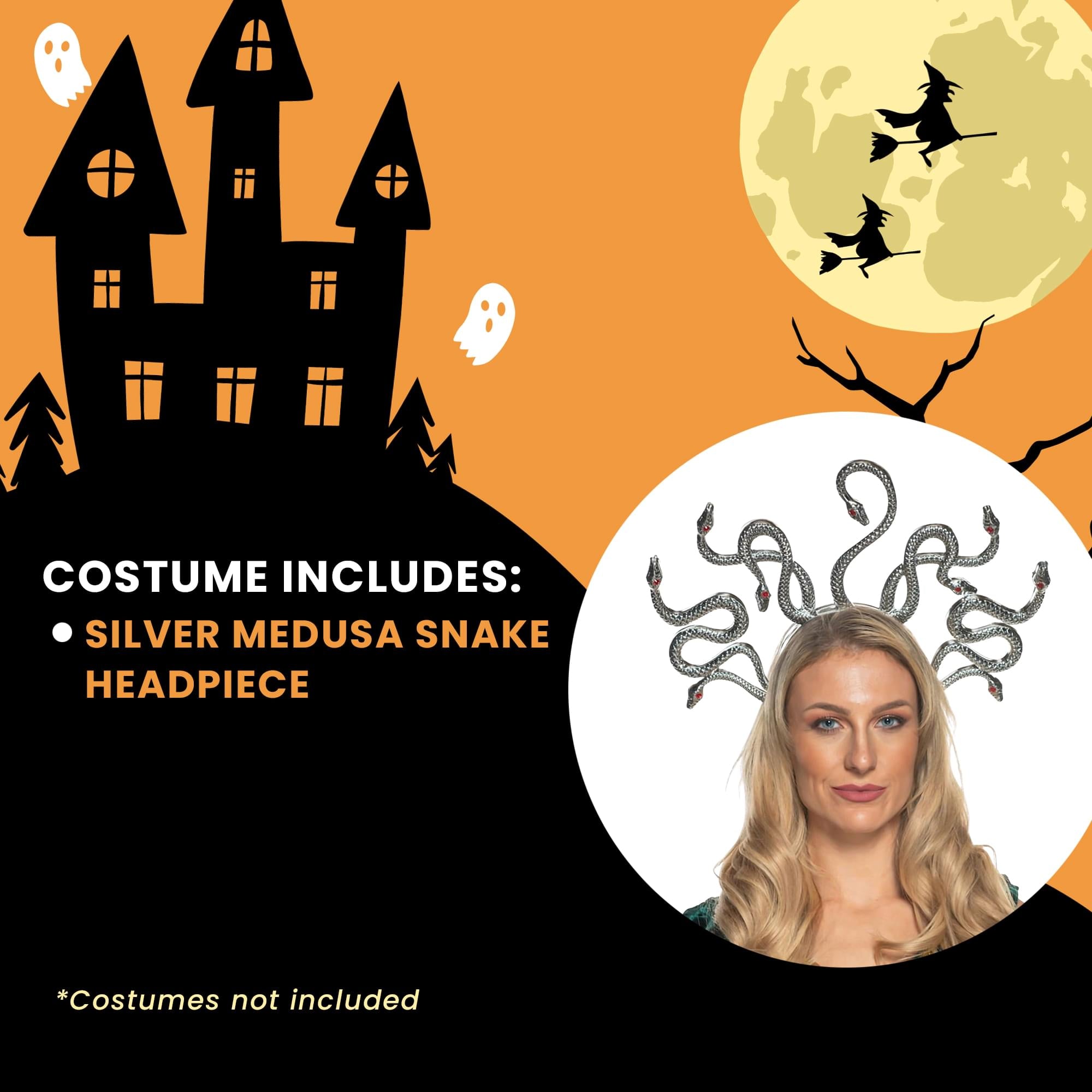 Medusa Silver Snakes Adult Costume Headpiece