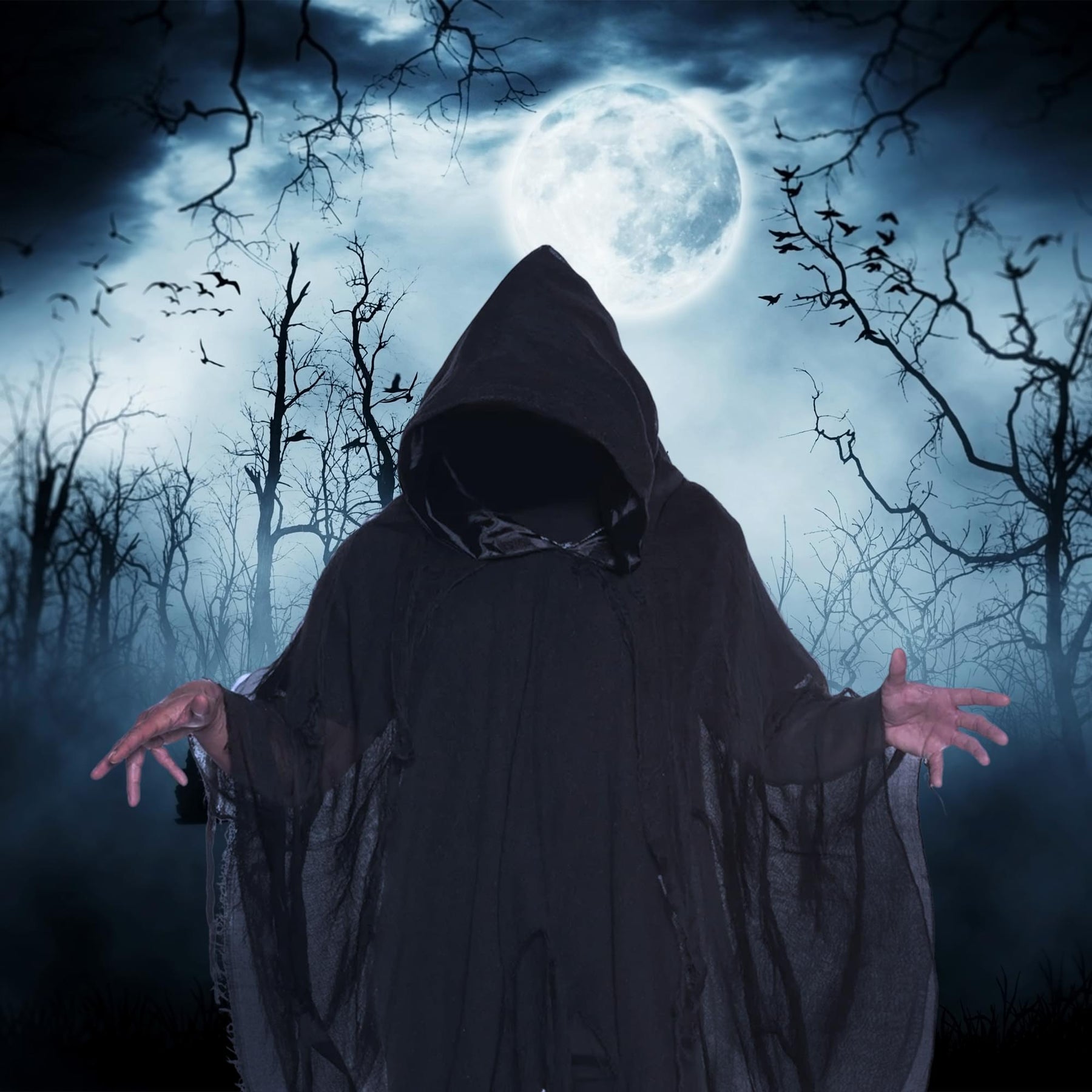 Black Shredded Phantom Adult Hooded Costume Cape | Standard