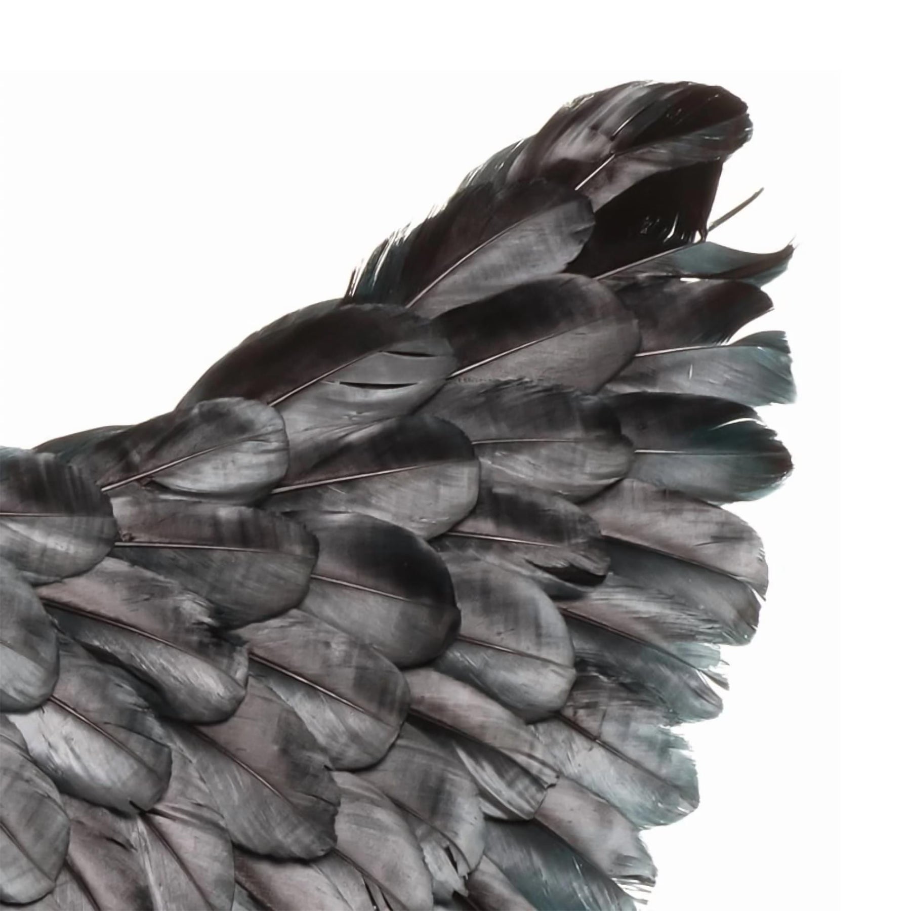 Black Dark Angel Adult Costume Wings