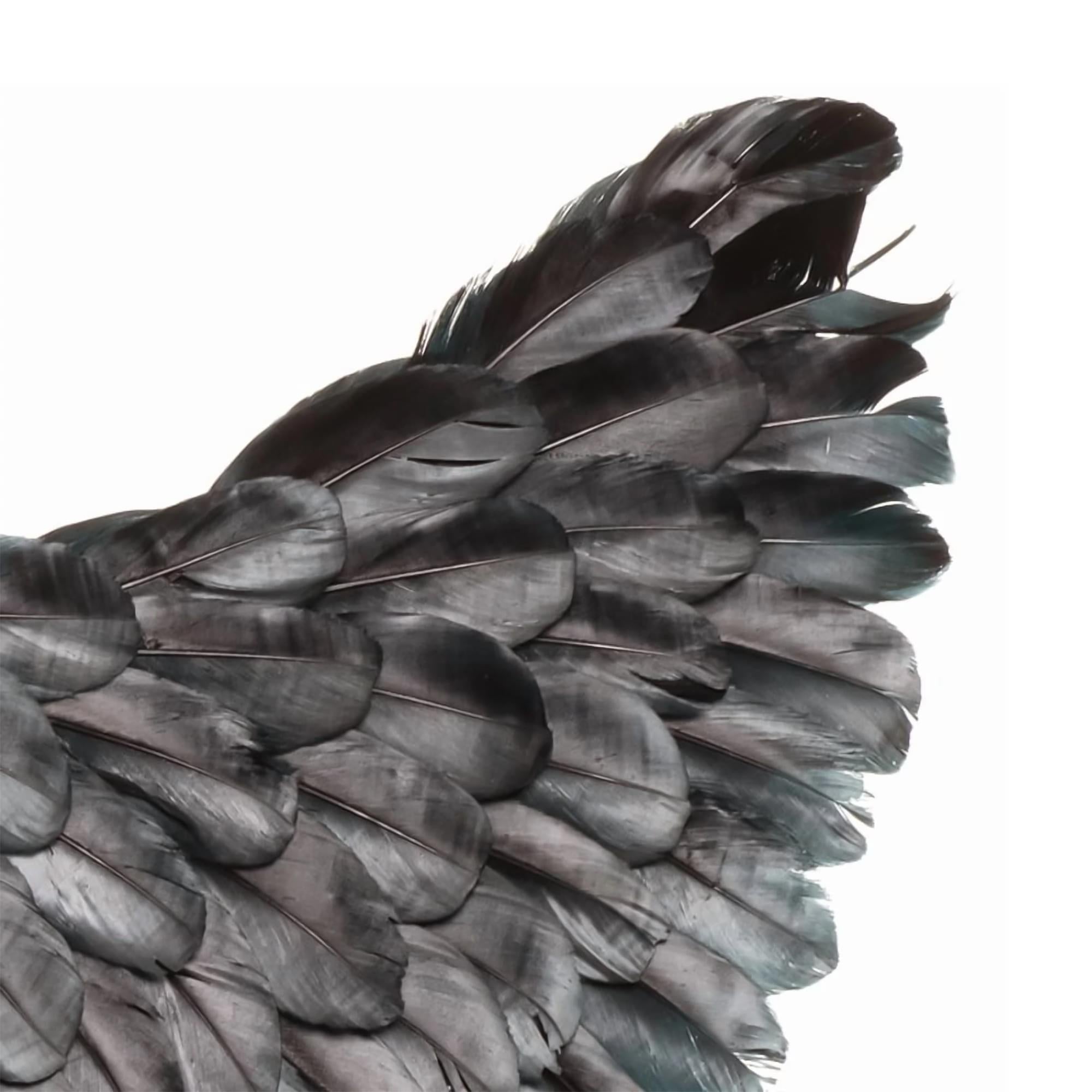 Black Dark Angel Adult Costume Wings