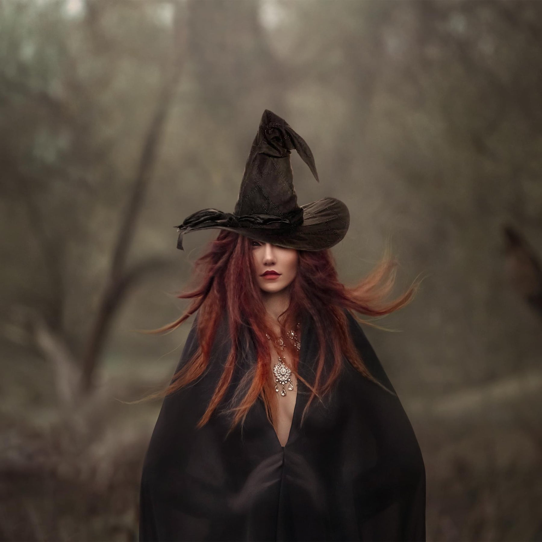 Black Witch/ Wizard Hat Adult Costume Accessory