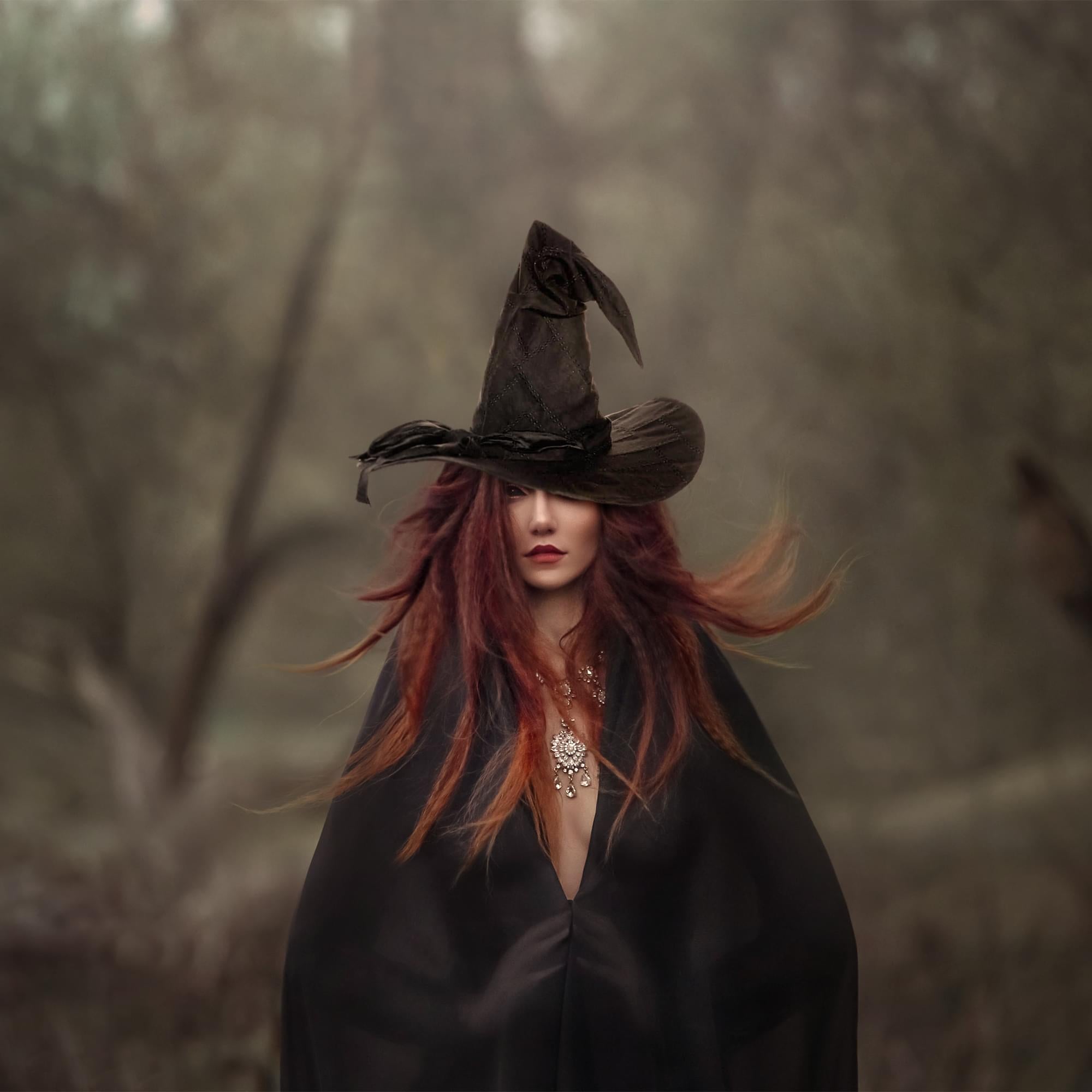 Black Witch/ Wizard Hat Adult Costume Accessory