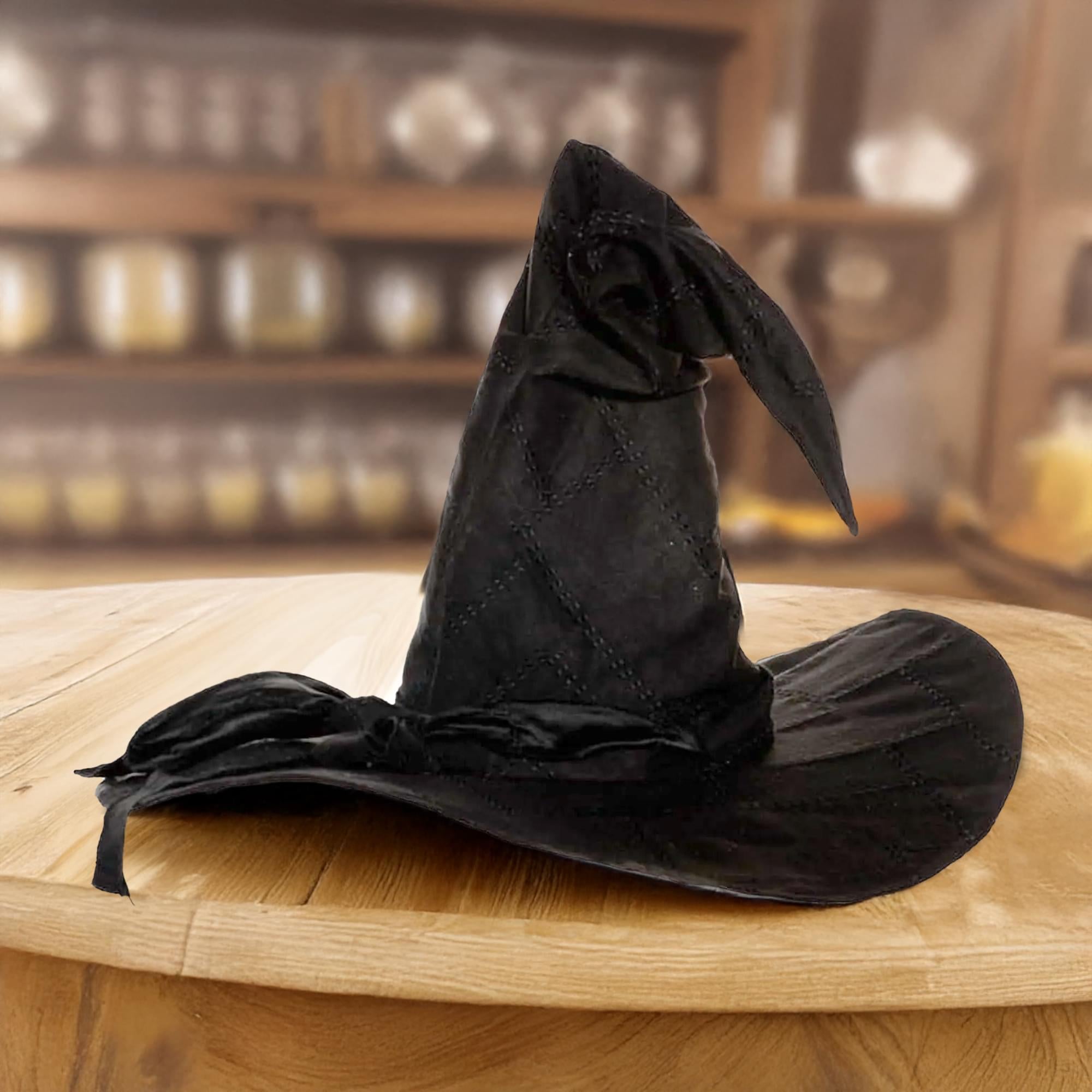 Black Witch/ Wizard Hat Adult Costume Accessory