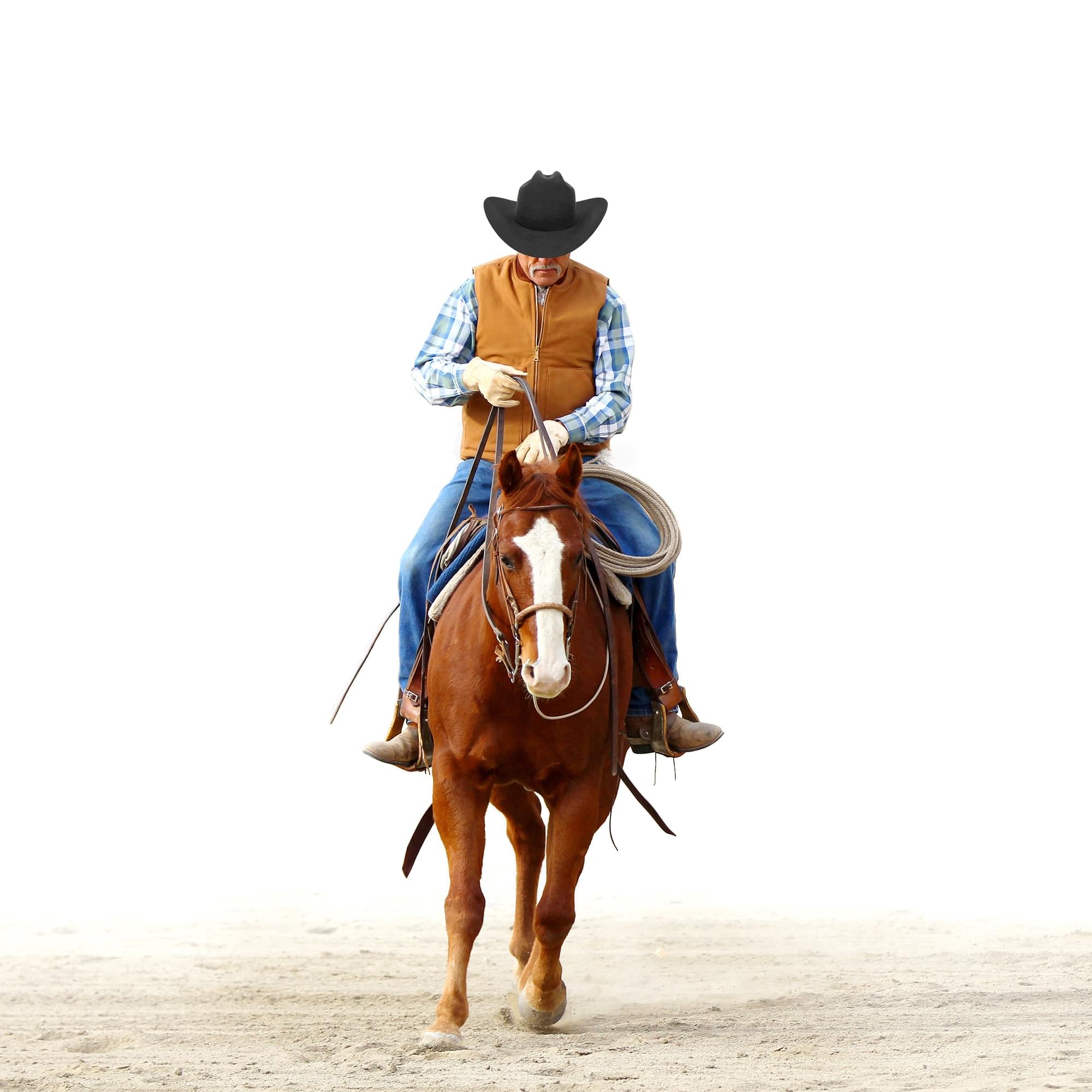 Cattleman Black Felt Adult Costume Cowboy Hat