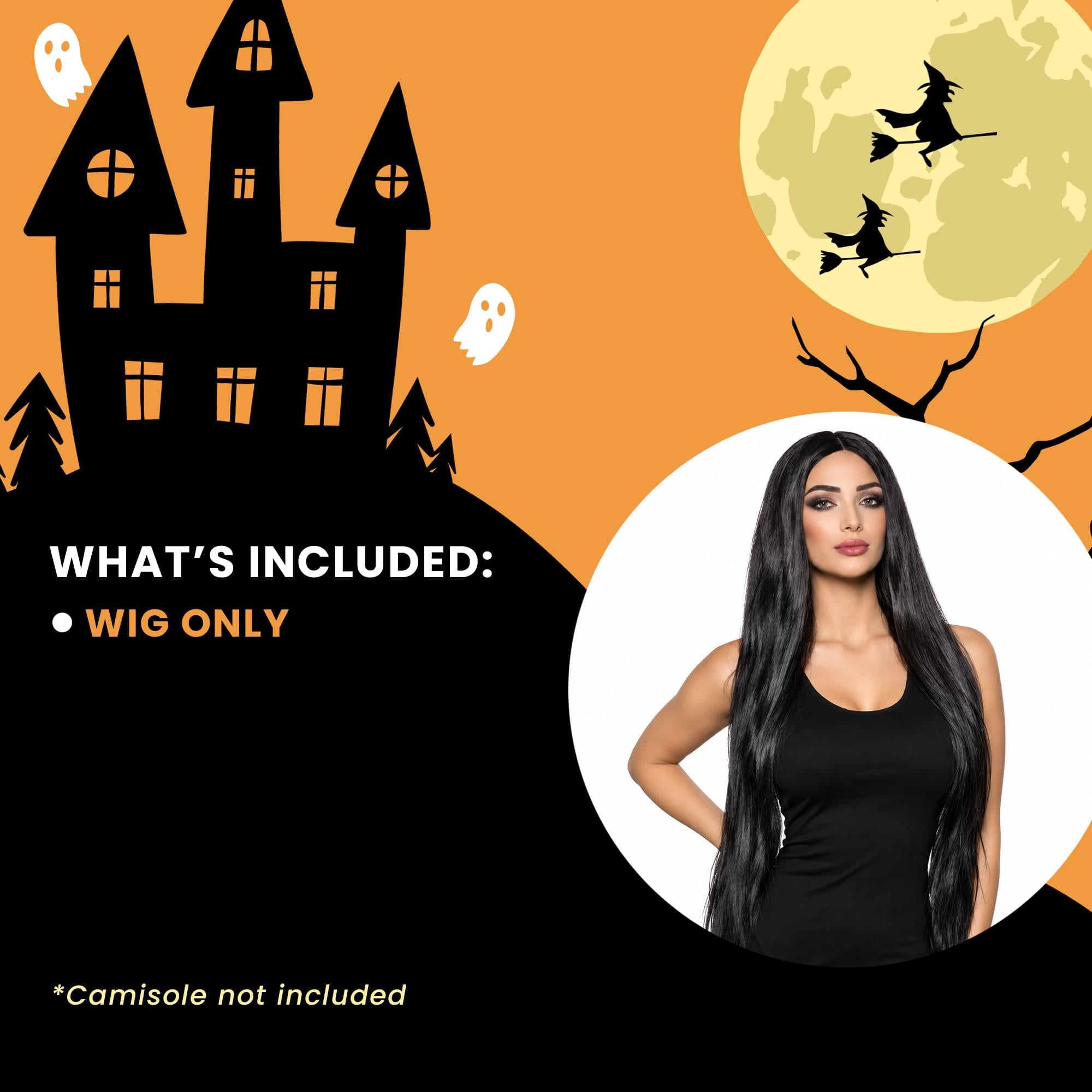 Straight Black Extra Long Adult Costume Wig | One Size