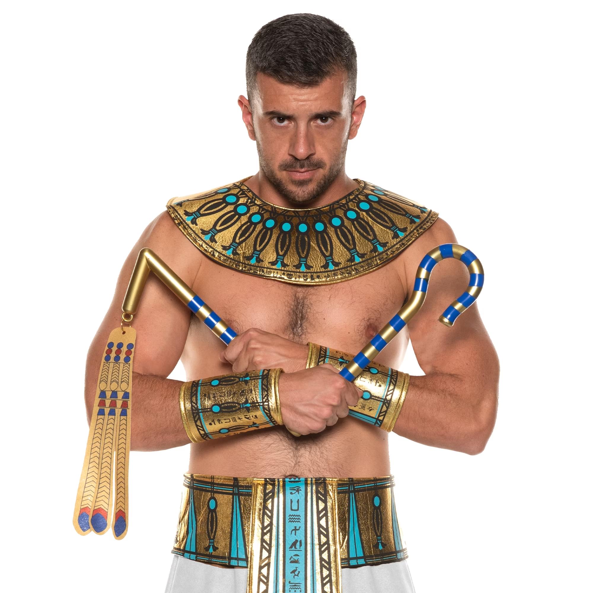 Egyptian Crook and Flail Adult Costume Accessory | One Size