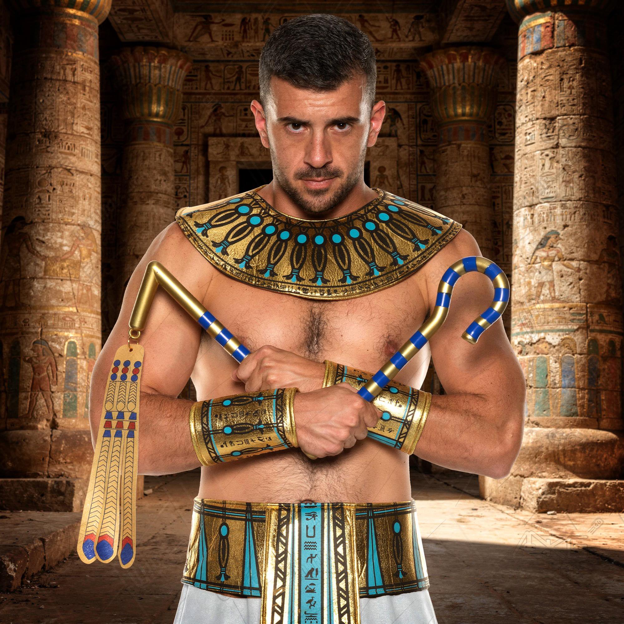 Egyptian Crook and Flail Adult Costume Accessory | One Size