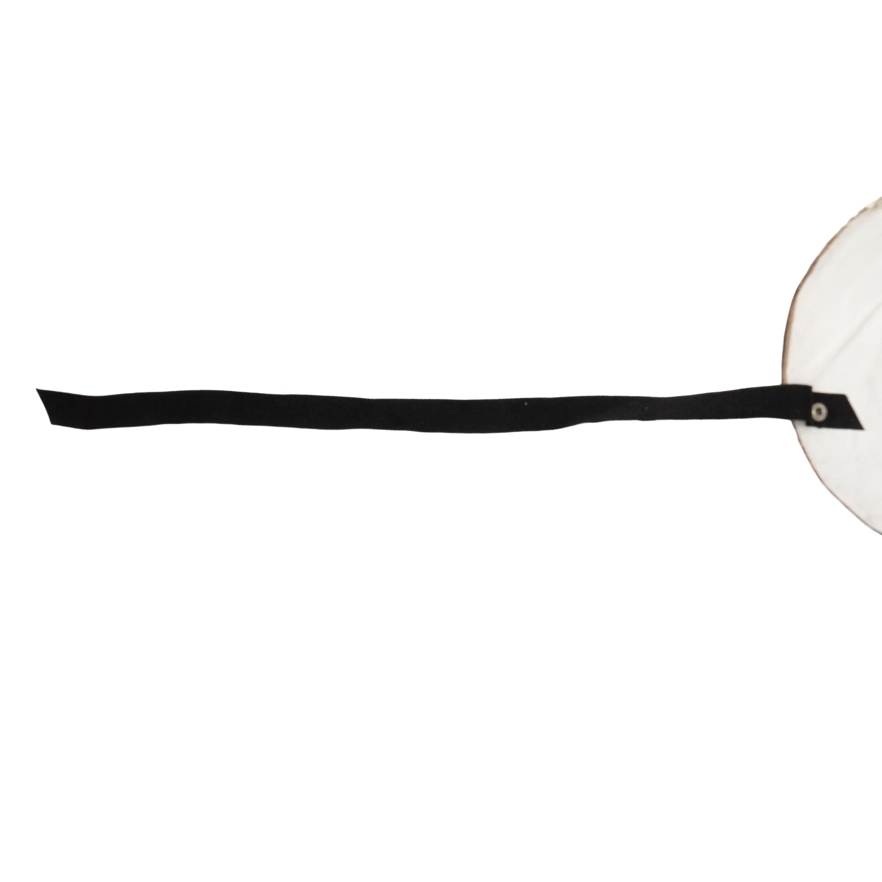 Long Hook Nose Adult Costume Masquerade Mask