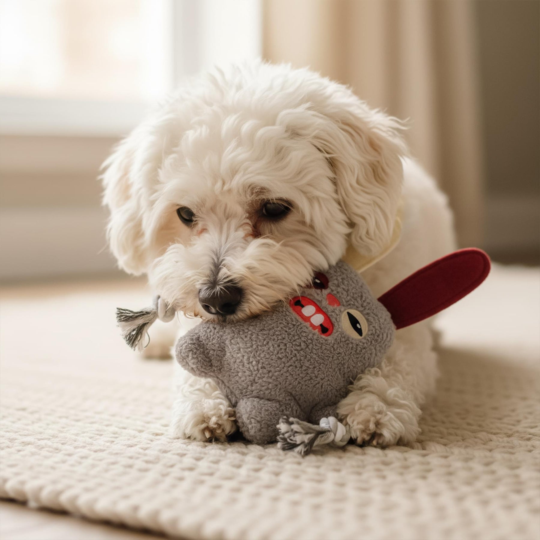Fuggler 8-Inch Rope Dog Toy | One Random Color and Character