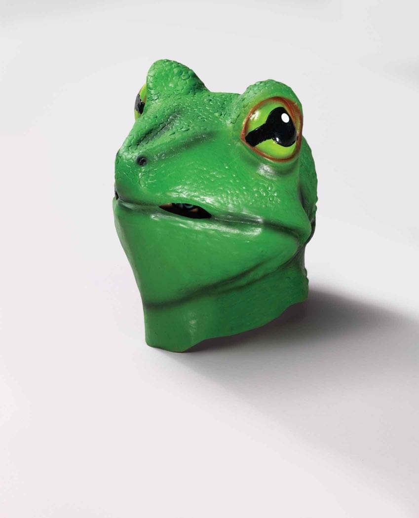Deluxe Frog Animal Adult Latex Costume Mask