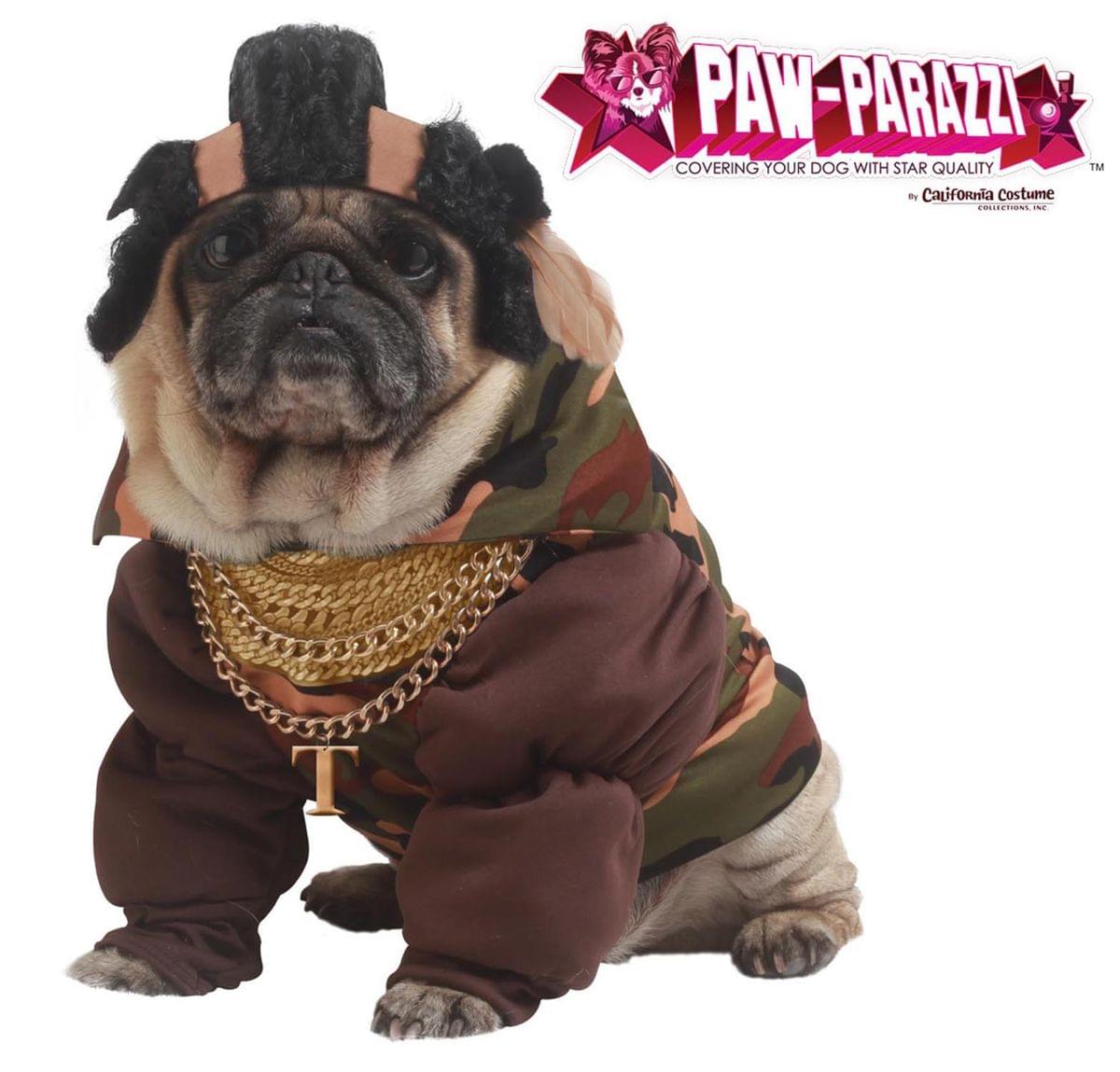 Paw Parazzi Pity The Fool Dog Pet Costume