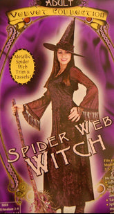 Spider Web Witch Costume