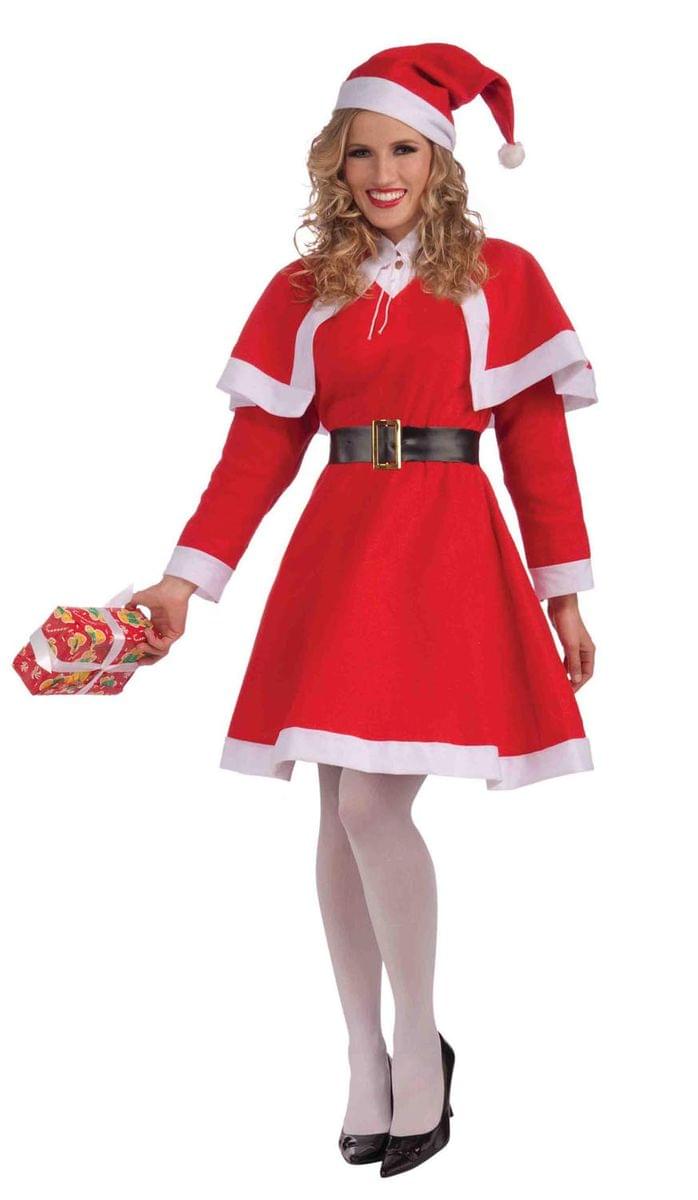 Mrs. Santa Claus Adult Female Christmas Costume