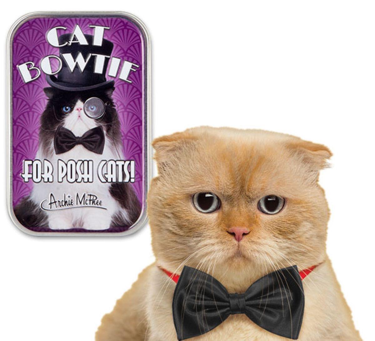 Bow Tie For Cats in Collectible Tin