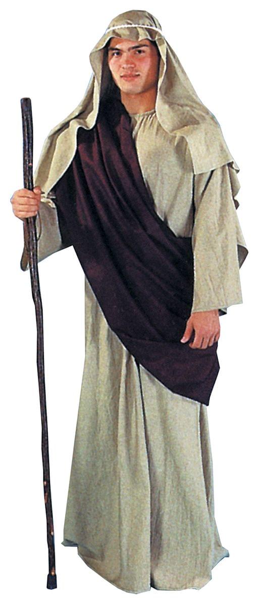 Shepherd Gown Adult Costume