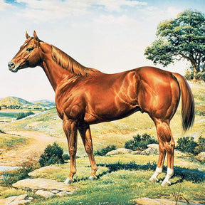 Breyer Ideal Series 1:9 Scale Model Horse | American Quarter Horse