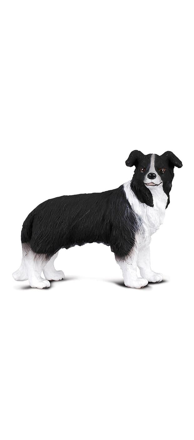 CollectA Cats & Dogs Collection Miniature Figure | Border Collie