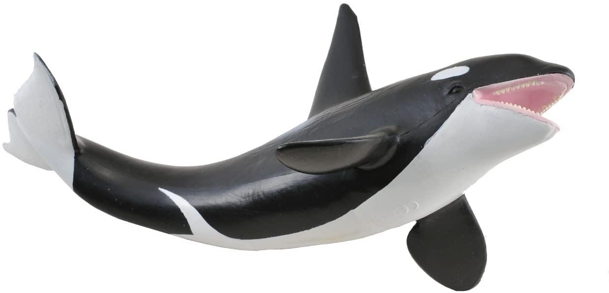 CollectA Sea Life Collection Miniature Figure | Orca
