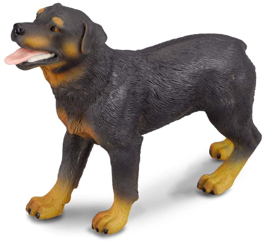 CollectA Cats & Dogs Collection Miniature Figure | Rottweiler