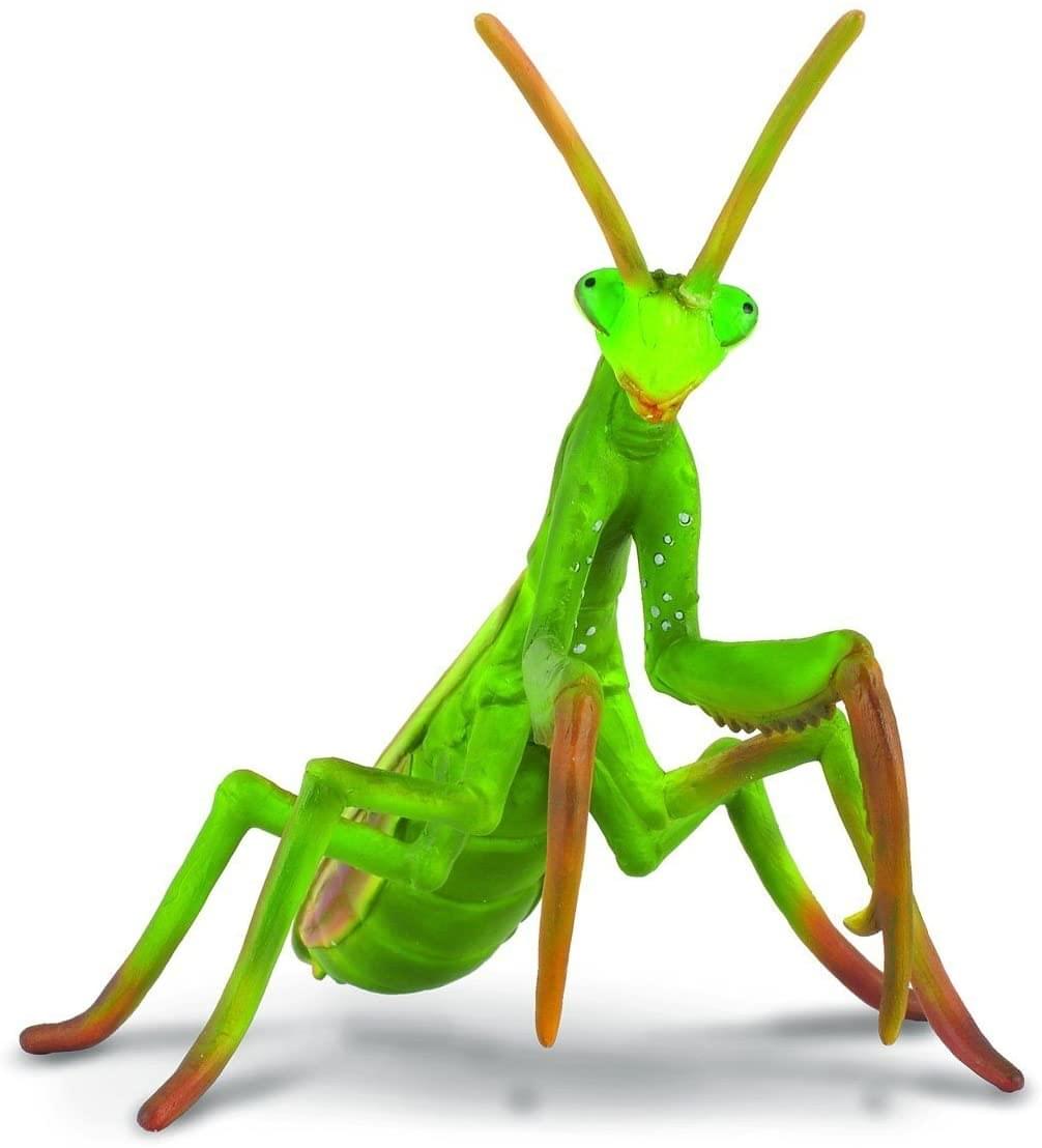 CollectA Insect Collection Miniature Figure | Praying Mantis