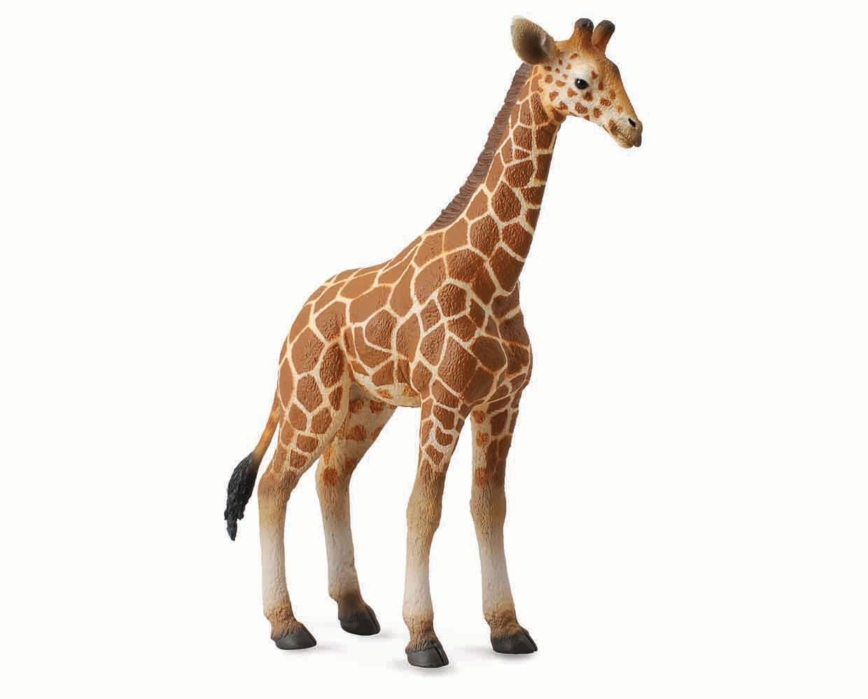 CollectA Wildlife Collection Miniature Figure | Reticulated Giraffe Calf