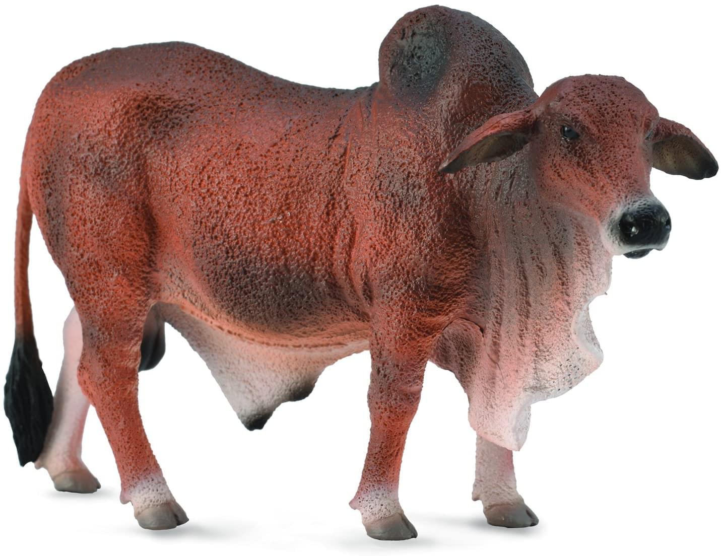 CollectA Farm Life Collection Miniature Figure | Red Brahman Bull