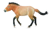 Breyer CollectA Series Przewalski Stallion Model Horse